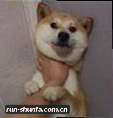 吴总